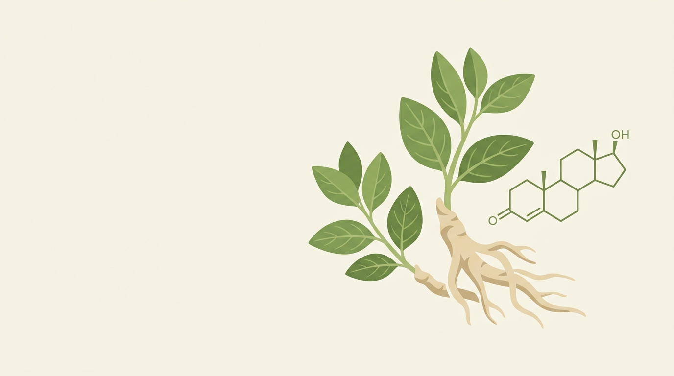 4e875d75 5bcc 41e7 a82b c6239c8d37a6